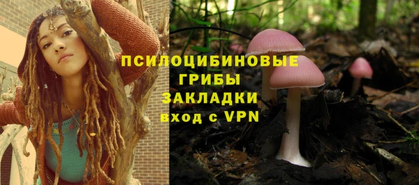 apvp Беломорск