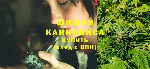 крисы Баксан