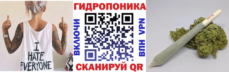 Канабис сатива Буйнакск